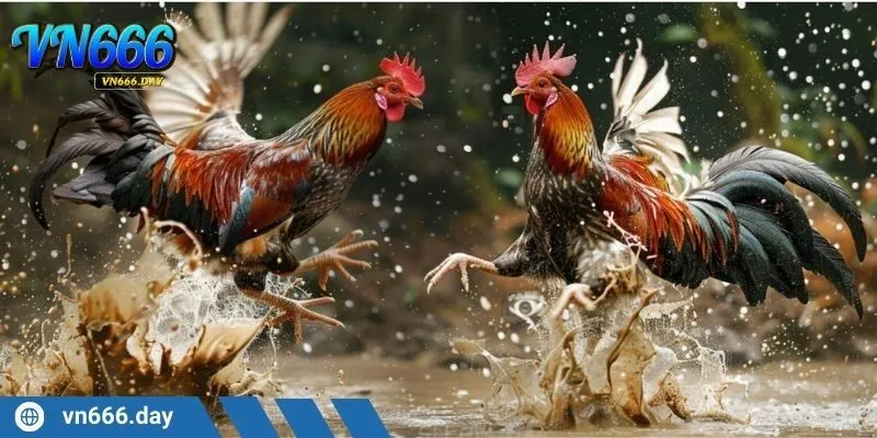 Sử dụng mẹo nhuần nhuyễn giúp tăng cao cơ hội nhận thưởng khủng