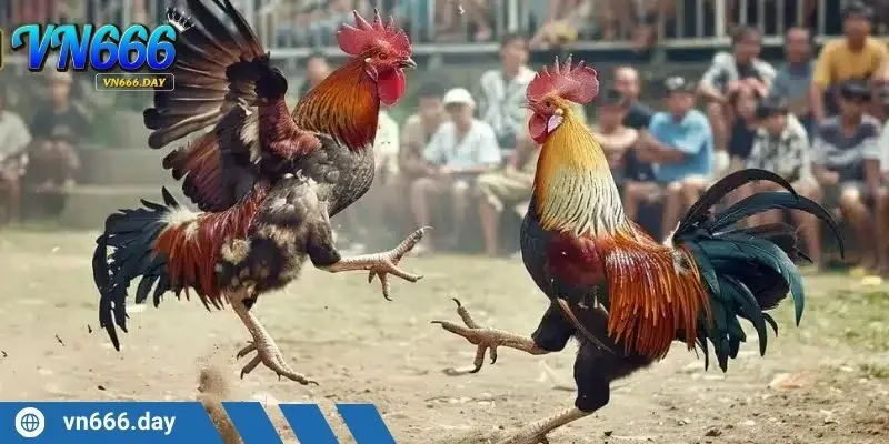 Ưu đãi ngập tràn cho trải nghiệm cực chất